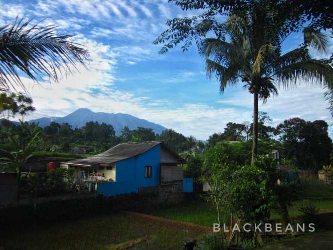 pagi desa yang berada di daerah Cisarua Bogor Jawa Barat.